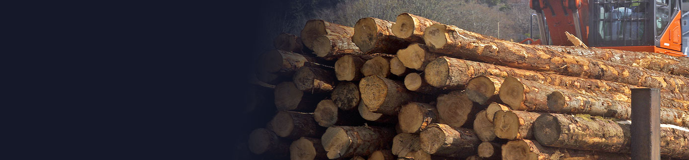 lumber-header